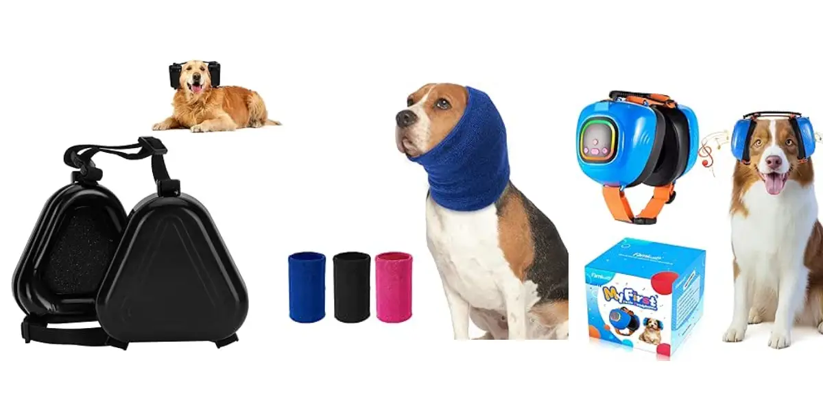 Do Dogs Need ANC? Best Noise Cancelling Headphones for Dogs